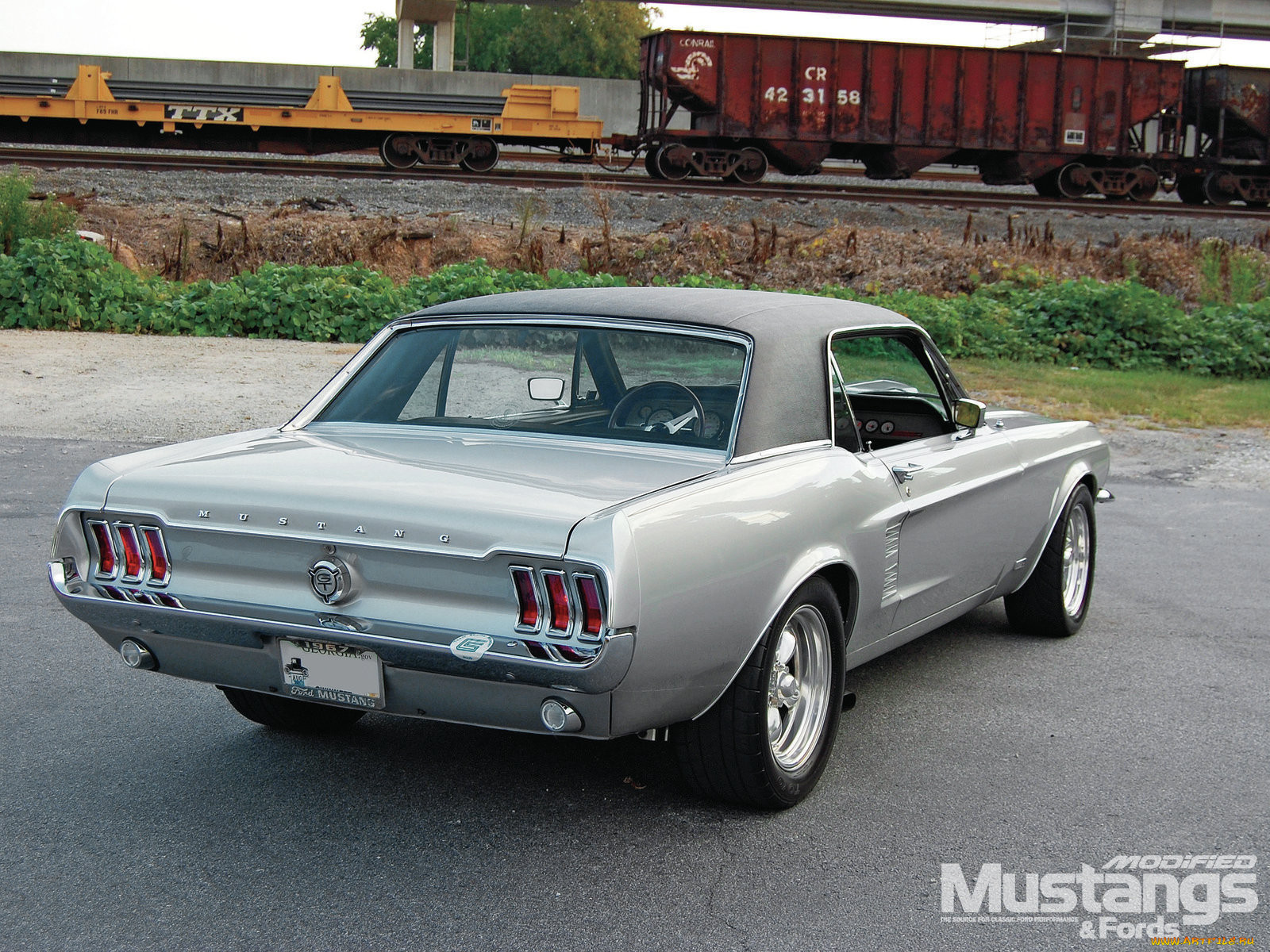 , mustang